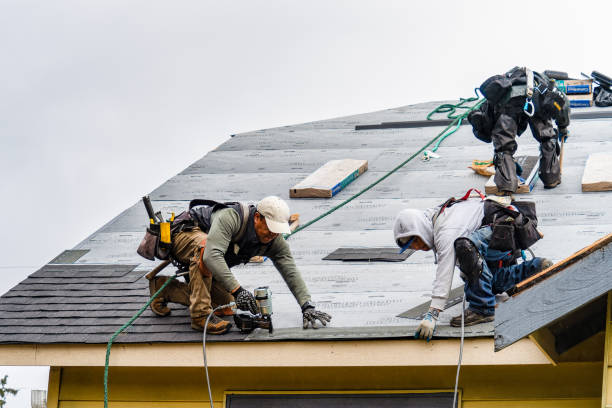 Professional Gutter Installation technician working in Polk, NE